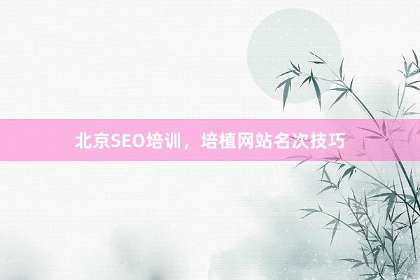 北京SEO培训，培植网站名次技巧