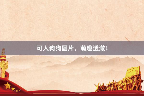可人狗狗图片,萌趣透澈!